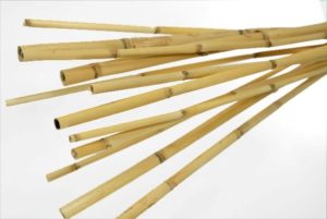 stik bambu