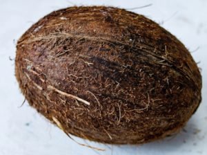 batok kelapa