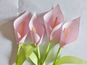 bunga lili kertas