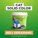 cat solid color