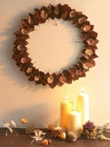 frame daun kering bagus